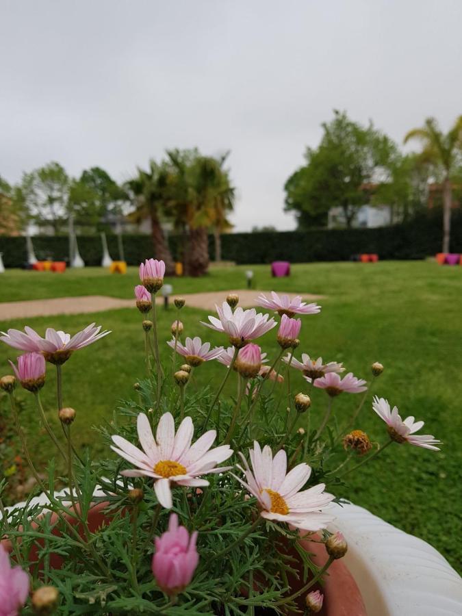 I Giardini Del Novecento Hotel Lamezia Terme Ngoại thất bức ảnh